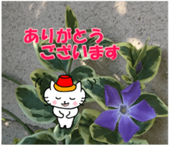 Nyatan's greetings words and thank words sticker #15740334