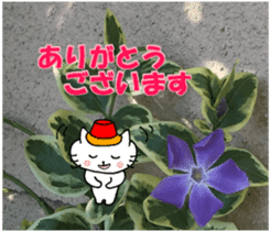 Nyatan's greetings words and thank words sticker #15740334