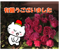 Nyatan's greetings words and thank words sticker #15740335