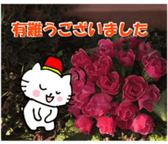 Nyatan's greetings words and thank words sticker #15740335