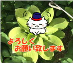 Nyatan's greetings words and thank words sticker #15740337