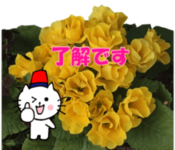 Nyatan's greetings words and thank words sticker #15740343