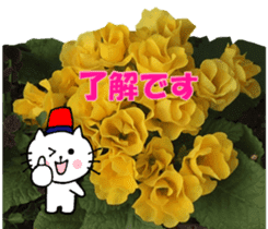 Nyatan's greetings words and thank words sticker #15740343