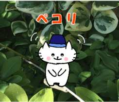 Nyatan's greetings words and thank words sticker #15740347