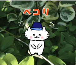 Nyatan's greetings words and thank words sticker #15740347