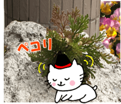 Nyatan's greetings words and thank words sticker #15740348