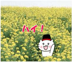 Nyatan's greetings words and thank words sticker #15740353