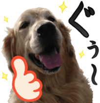 Golden Retriever [Regular] sticker #15742547