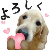 Golden Retriever [Regular] sticker #15742552