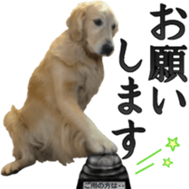 Golden Retriever [Regular] sticker #15742553