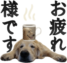 Golden Retriever [Regular] sticker #15742559
