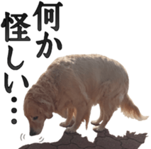 Golden Retriever [Regular] sticker #15742562