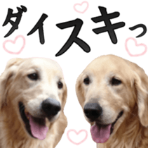 Golden Retriever [Regular] sticker #15742574
