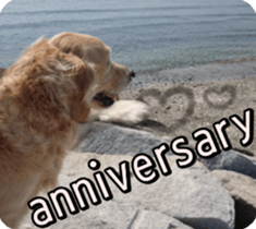 Golden Retriever [Regular] sticker #15742575