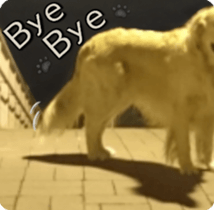 Golden Retriever [Regular] sticker #15742576