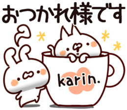 The Karin. sticker #15742620