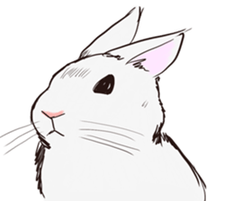 Adorable White Rabbit sticker #15742987