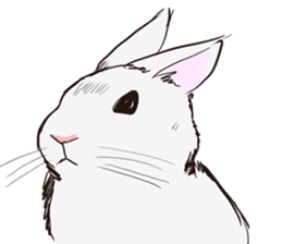 Adorable White Rabbit sticker #15742987
