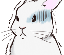 Adorable White Rabbit sticker #15742991