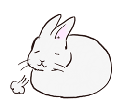 Adorable White Rabbit sticker #15742993