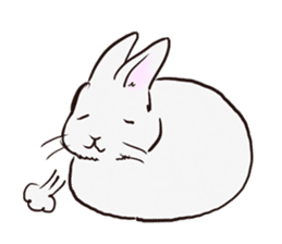 Adorable White Rabbit sticker #15742993