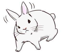 Adorable White Rabbit sticker #15742996