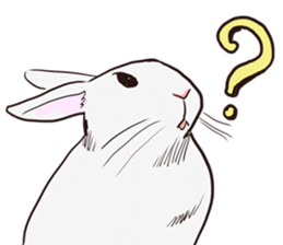 Adorable White Rabbit sticker #15742997