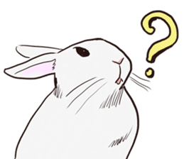 Adorable White Rabbit sticker #15742997