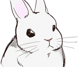 Adorable White Rabbit sticker #15743001
