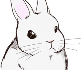 Adorable White Rabbit sticker #15743001