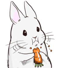 Adorable White Rabbit sticker #15743002