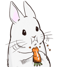Adorable White Rabbit sticker #15743002
