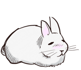Adorable White Rabbit sticker #15743003
