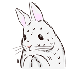 Adorable White Rabbit sticker #15743004