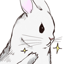 Adorable White Rabbit sticker #15743006
