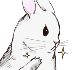 Adorable White Rabbit sticker #15743006
