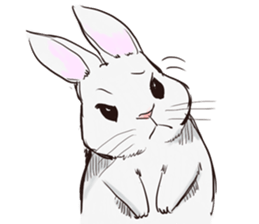 Adorable White Rabbit sticker #15743007