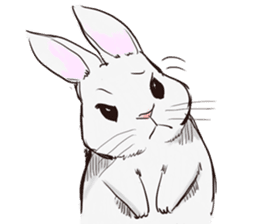 Adorable White Rabbit sticker #15743007