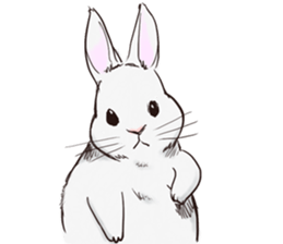 Adorable White Rabbit sticker #15743008