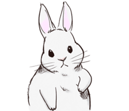 Adorable White Rabbit sticker #15743008