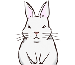 Adorable White Rabbit sticker #15743010