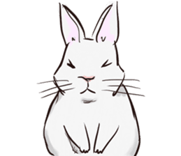 Adorable White Rabbit sticker #15743010