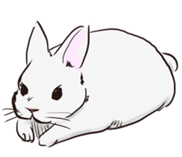 Adorable White Rabbit sticker #15743011