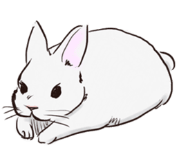 Adorable White Rabbit sticker #15743011