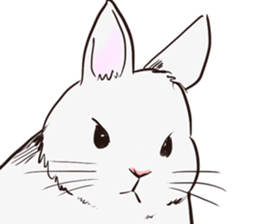 Adorable White Rabbit sticker #15743013