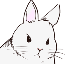 Adorable White Rabbit sticker #15743013