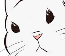 Adorable White Rabbit sticker #15743016