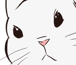 Adorable White Rabbit sticker #15743016