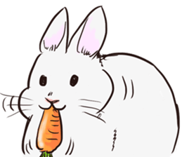 Adorable White Rabbit sticker #15743017
