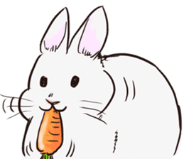Adorable White Rabbit sticker #15743017